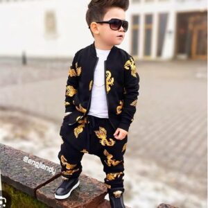 Premium Quality Jacket And Pant set